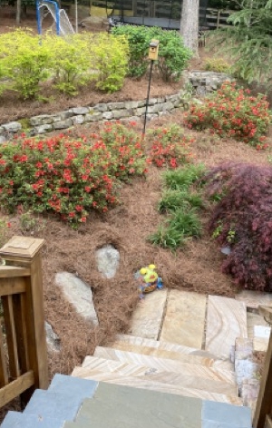Landscaping project