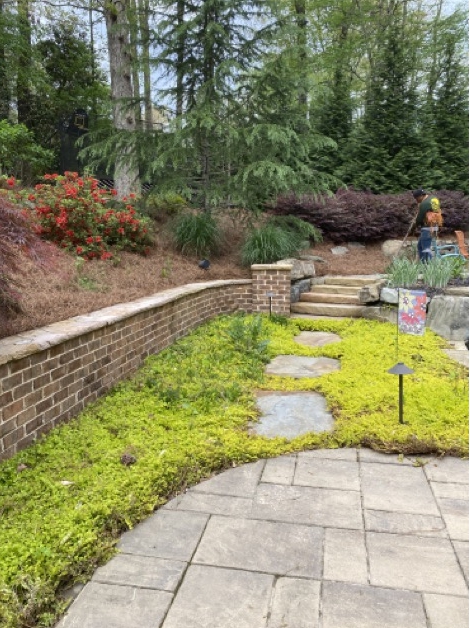 Landscaping project
